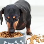 Alimentación para perros de pequeño tamaño