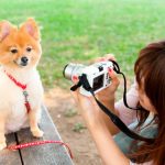 Guía práctica para hacerle fotos a tu perro