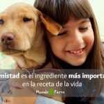 Dedicatorias de frases de perros y niños