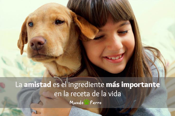 Dedicatorias de frases de perros y niños