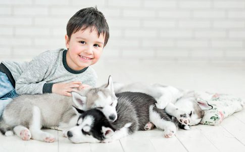 Las mejores razas de perros para niños